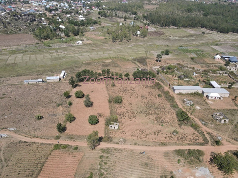 Viwanja 16 Vinauzwa Nyashishi Mwanza - 5/6