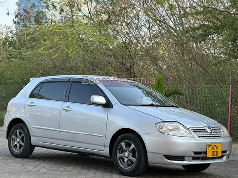 2004 Toyota Allex Rangi Silver - 5/5