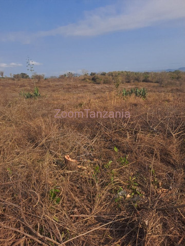 Shamba Eka 40 Kiwangwa Bagamoyo - 1/3
