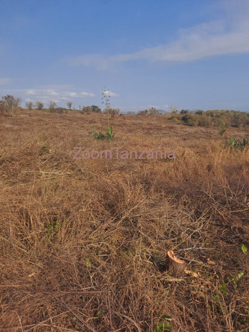 Shamba Eka 40 Kiwangwa Bagamoyo - 2/3