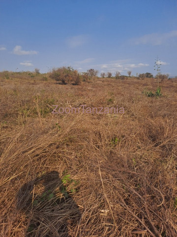Shamba Eka 40 Kiwangwa Bagamoyo - 3/3