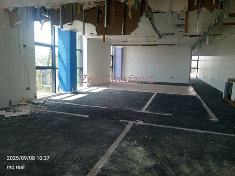 Eneo la Ofisi Lenye Square Metre 200 Inapangishwa Masaki - 2/5