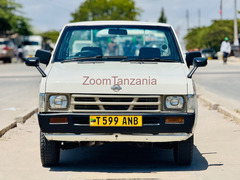 2001 Nissan Datsun White Color