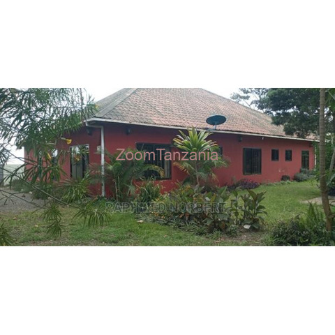 3BEDROOM FULLY FURNISHED FOR RENT IN USA RIVER-ARUSHA-TANZANIA - 1/4