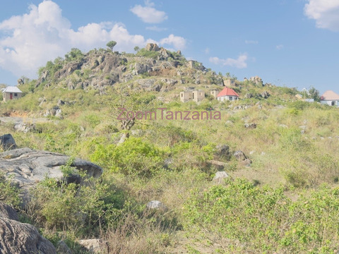 A Large Investment Land Sqm 32,000 For Sale in Buhongwa, Bulale - 4/6