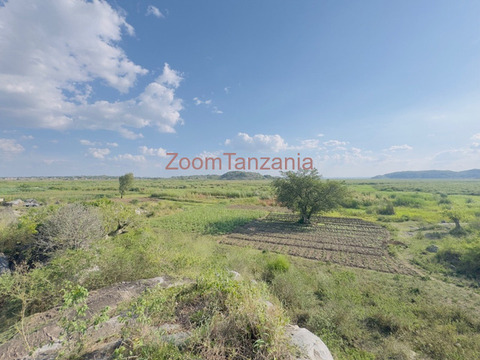 A Large Investment Land Sqm 32,000 For Sale in Buhongwa, Bulale - 5/6