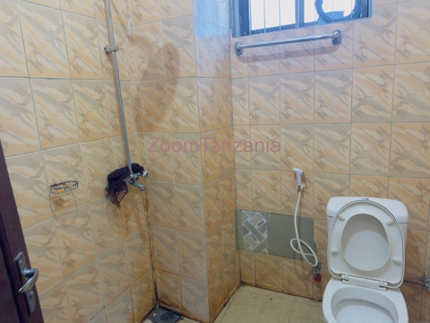 Stand Alone 5 Bedrooms House For Rent Ilemela Mwanza - 3/6