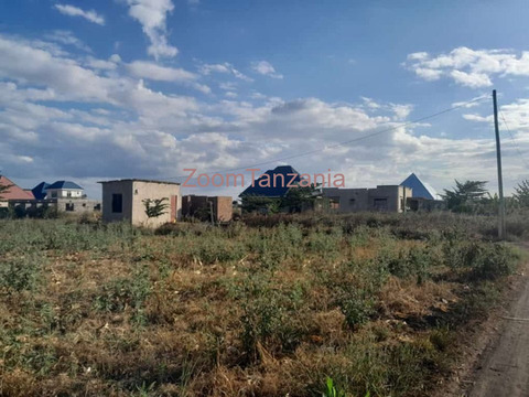 Residential and Commercial Plots For Sale Kilimanjaro & Arusha - 2/2