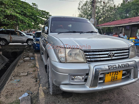 Toyota Land Cruiser Prado 2002 Silver - 2/6