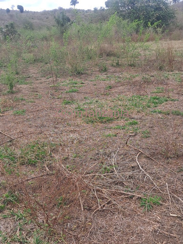 Kiwanja cha Heka 100 Kinauzwa Chalinze, Bagamoyo - 1/3
