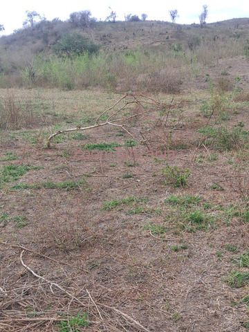 Kiwanja cha Heka 100 Kinauzwa Chalinze, Bagamoyo - 2/3