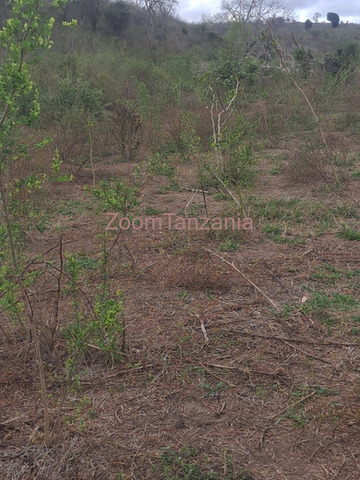 Kiwanja cha Heka 100 Kinauzwa Chalinze, Bagamoyo - 3/3