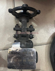 Gate Valve Thread Type