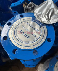 Non Return Valve 150mm