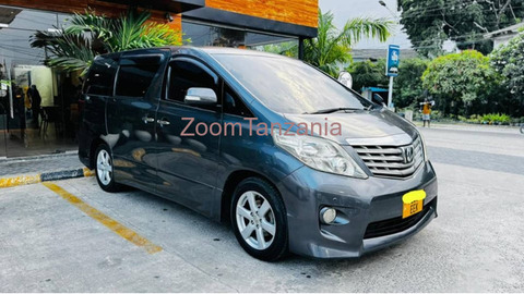 2010 Toyota Alphard Gray - 4/6