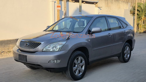 Toyota Harrier 2007 Gray - 6/6