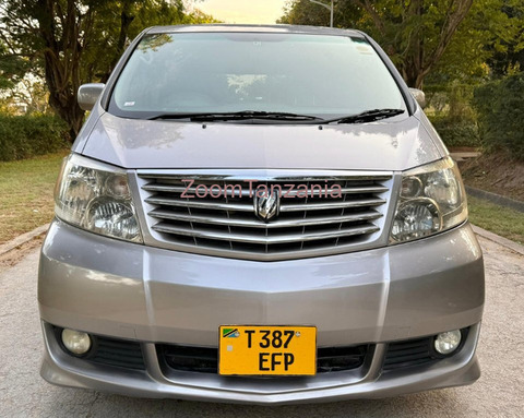 Toyota Alphard 2004 Gray - 1/6