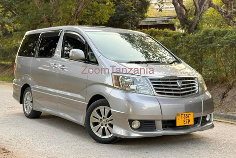 Toyota Alphard 2004 Gray - 2/6