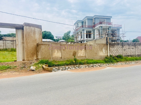 Kiwanja Chenye Fensi Kinauzwa Ilemela Jirani na Mwanza Airport na Malaika Beach - 5/6