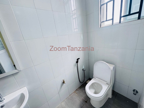1 Bedroom House For Rent In Mwanza - 2/6