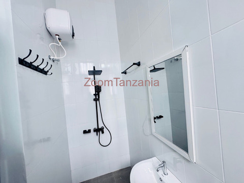 1 Bedroom House For Rent In Mwanza - 4/6