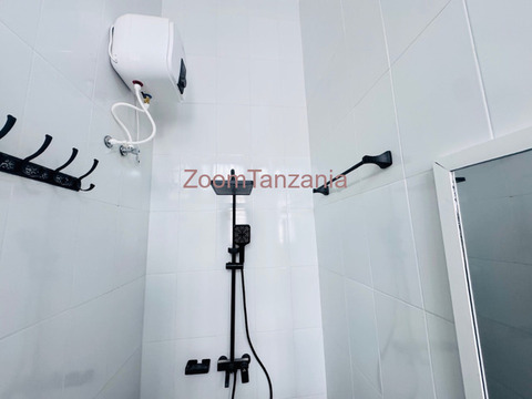 1 Bedroom House For Rent In Mwanza - 6/6