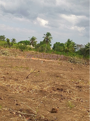 Residential Plots for Sale at Kibaha, Kwa Mfipa Galagaza - 2/5