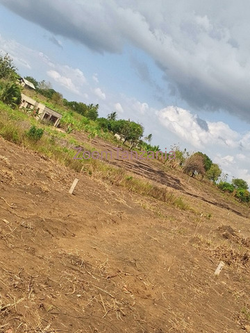 Residential Plots for Sale at Kibaha, Kwa Mfipa Galagaza - 3/5