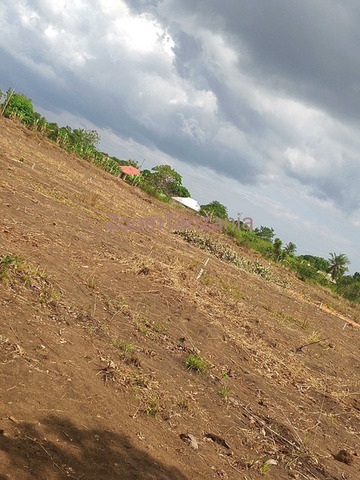 Residential Plots for Sale at Kibaha, Kwa Mfipa Galagaza - 4/5