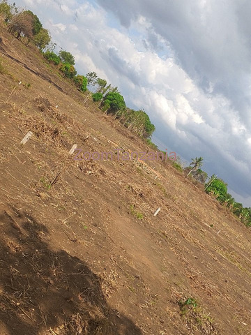 Residential Plots for Sale at Kibaha, Kwa Mfipa Galagaza - 5/5