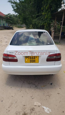 2002 Toyota Corolla White - 3/5