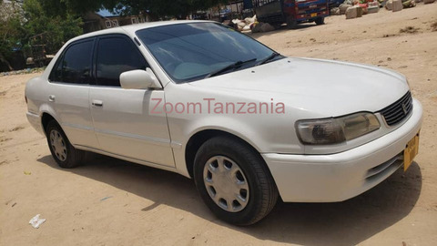 2002 Toyota Corolla White - 5/5