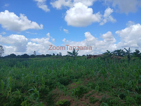 Viwanja Vinauzwa Kibaha Kwa Kwa Mathias - 1/6
