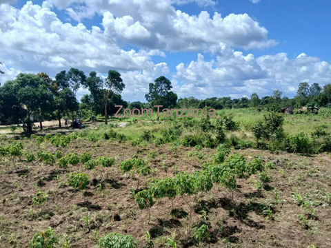 Viwanja Vinauzwa Kibaha Kwa Kwa Mathias - 3/6