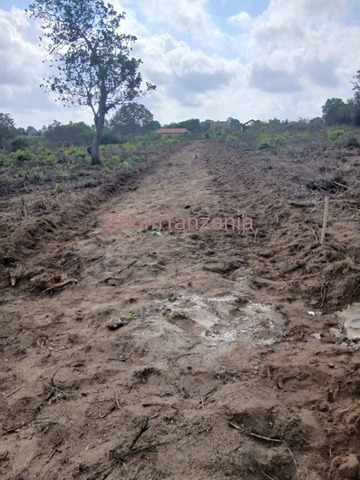 Viwanja Vinauzwa Kibaha Kwa Kwa Mathias - 6/6