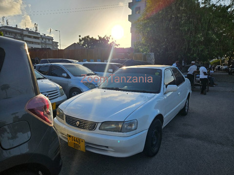 2002 Toyota Corolla White - 1/6