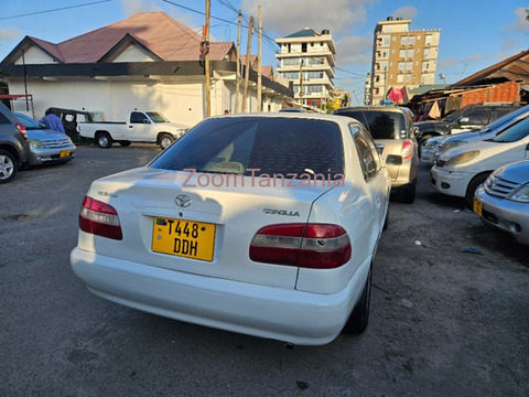 2002 Toyota Corolla White - 3/6
