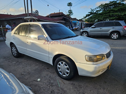 2002 Toyota Corolla White - 5/6
