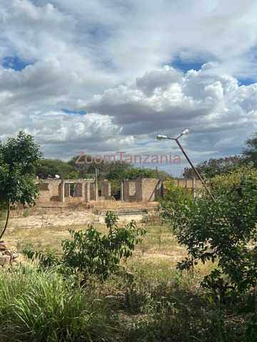 Land for Sale in Dodoma - 2/5
