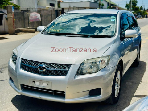 2009 Toyota Corolla Fielder Silver - 6/6