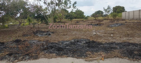 Kiwanja Prime Land Plot For Sale in Bagamoyo