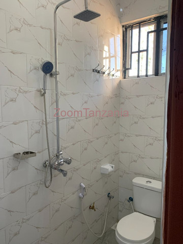 Rental Apartments in Buswelu Mwanza - 2/6