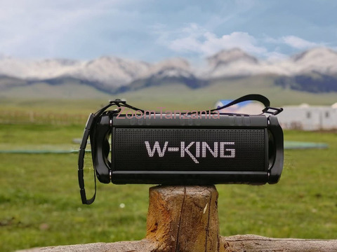 Wking D8 Portable Speaker - 1/3