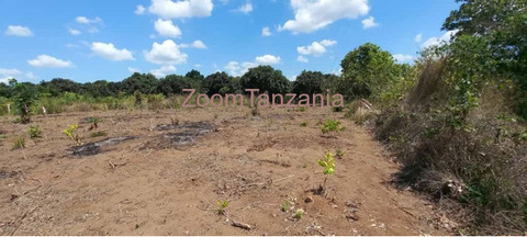 Kiwanja Kinauzwa Kisarawe Kisanga Coastal Region - 2/3