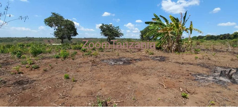 Kiwanja Kinauzwa Kisarawe Kisanga Coastal Region - 3/3