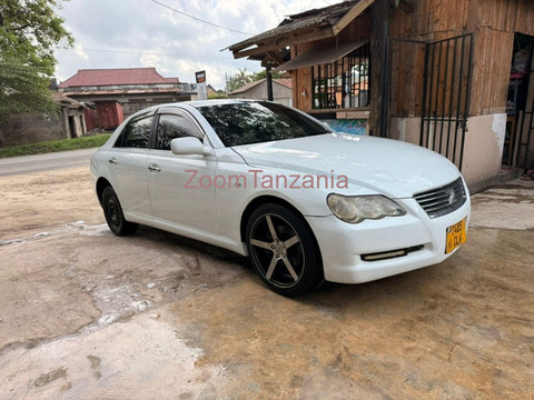 Toyota Mark X 2006 Nyeupe - 6/6