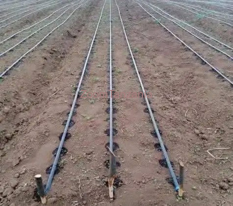Irrigation Systems - 3/5