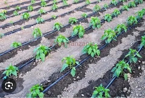 Irrigation Systems - 5/5
