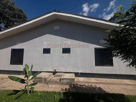 4 Bedrooms House For Rent Uzunguni Area Arusha - 3/6