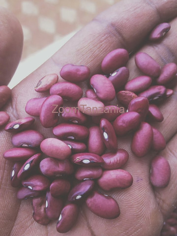 Maharage Mekundu Madogo